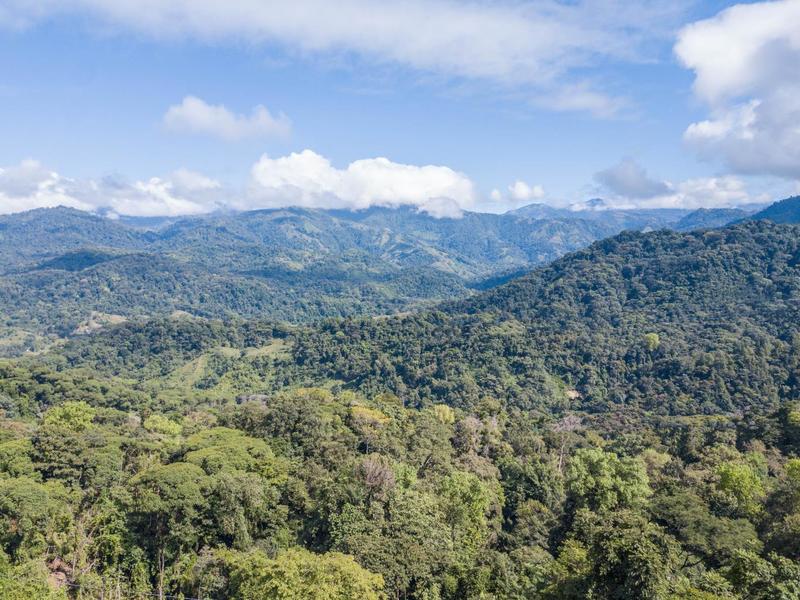 0 bed Lot/Land For Sale in Quepos,  - 1